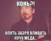 конь?! опять зазря вливать кучу меда...