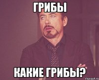 грибы какие грибы?