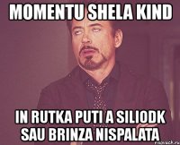 momentu shela kind in rutka puti a siliodk sau brinza nispalata