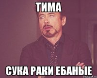 тима сука раки ебаные