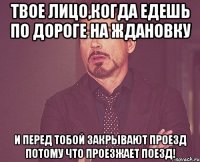 твое лицо,когда едешь по дороге на ждановку и перед тобой закрывают проезд потому что проезжает поезд!