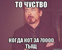 то чуство когда кот за 70000 тыщ