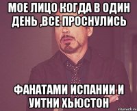 мое лицо когда в один день ,все проснулись фанатами испании и уитни хьюстон