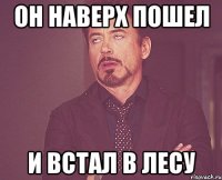 он наверх пошел и встал в лесу