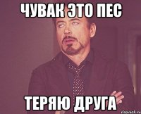 чувак это пес теряю друга