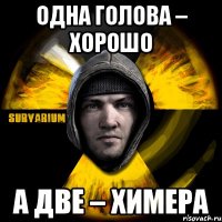 одна голова – хорошо а две – химера