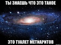 ты знаешь что это такое это туалет метиаритов