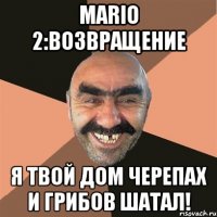 mario 2:возвращение я твой дом черепах и грибов шатал!