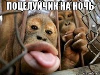 поцелуйчик на ночь 