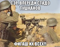 сэр, впереди стадо тушканов фигаш их всех!!