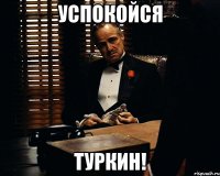 успокойся туркин!