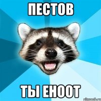 пестов ты еноот