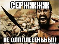 сержжжж не оллллееенььь!!!