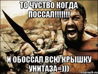 то чуство когда поссал!!! и обоссал всю крышку унитаза=)))