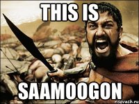 this is saamoogon