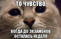 то чувство когда до экзаменов осталась неделя