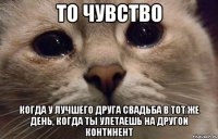 то чувство когда у лучшего друга свадьба в тот же день, когда ты улетаешь на другой континент