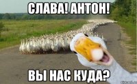 слава! антон! вы нас куда?