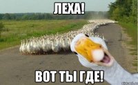 леха! вот ты где!