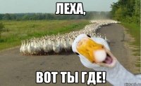 леха, вот ты где!