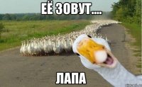 её зовут.... лапа