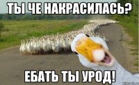 ты че накрасилась? ебать ты урод!