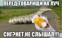 перед товарищи на луч снг?нет,не слышал!!!