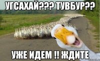 угсахай??? тувбур?? уже идем !! ждите