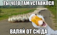 ты чего там уставился валяй от сюда