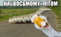 на "восьмому" літом 