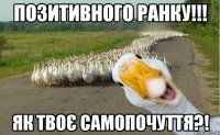 позитивного ранку!!! як твоє самопочуття?!