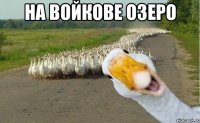 на войкове озеро 