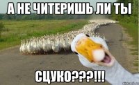 а не читеришь ли ты сцуко???!!!