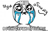 міш я очень скучаю по тебе!!!:((