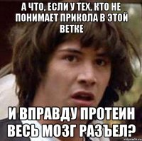 а что, если у тех, кто не понимает прикола в этой ветке и вправду протеин весь мозг разъел?