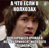 а что если в колхозах для хорошего урожая в жертву приносят молодого специалиста