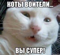 коты воители... вы супер!