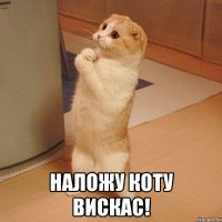  наложу коту вискас!