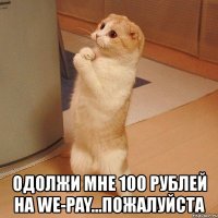  одолжи мне 100 рублей на we-pay...пожалуйста