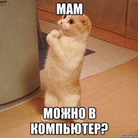 мам можно в компьютер?