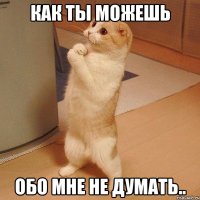 как ты можешь обо мне не думать..