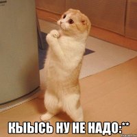  кыысь ну не надо:**