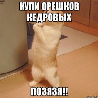 купи орешков кедровых позязя!!