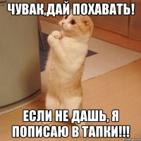 чувак,дай похавать! если не дашь, я пописаю в тапки!!!