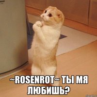  ~rosenrot~ ты мя любишь?