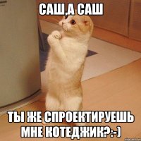 саш,а саш ты же спроектируешь мне котеджик?:-)