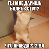 ты мне даришь билет в сеул? что,правда???!!!))