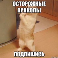 осторожные приколы подпишись