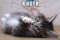 я котя 