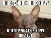 я котейко и я не хочу ичего решать,я хочу жрать!